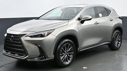 2025 Lexus NX 250 Premium
