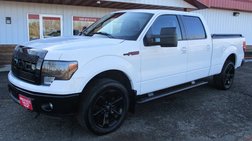 2014 Ford F-150 FX4