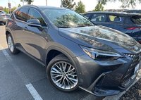 2024 Lexus NX 350h Luxury