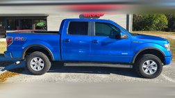 2014 Ford F-150 FX4