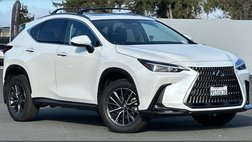 2025 Lexus NX 350h Premium