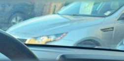 2019 Hyundai Veloster 2.0