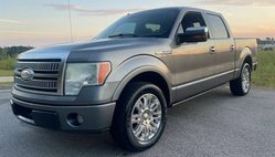 2009 Ford F-150 Platinum