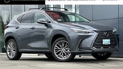 2023 Lexus NX 350 Luxury