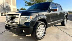 2013 Ford F-150 Platinum