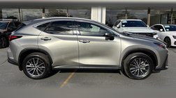 2024 Lexus NX 350h Premium