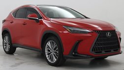2023 Lexus NX 350h Luxury