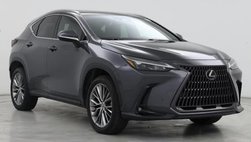 2022 Lexus NX 350h Premium