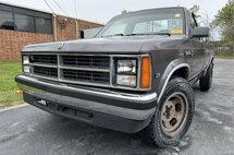 1989 Dodge Dakota Base