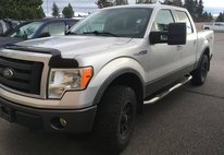 2009 Ford F-150 XL
