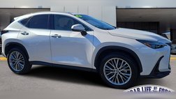 2025 Lexus NX 350 Premium