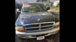 2004 Dodge Dakota SLT