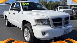 2010 Dodge Dakota 