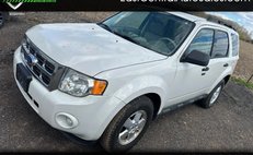 2011 Ford Escape XLT