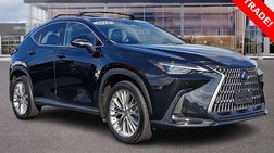 2024 Lexus NX 350 Luxury
