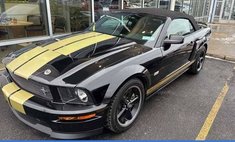 2007 Ford Mustang GT Deluxe