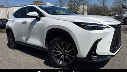2024 Lexus NX 350 Base