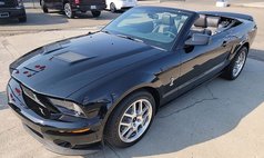 2008 Ford Shelby GT500 Base