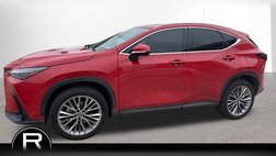 2025 Lexus NX 350 Premium