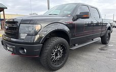 2013 Ford F-150 FX4