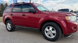2010 Ford Escape XLT