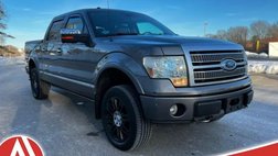2010 Ford F-150 Platinum