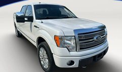 2010 Ford F-150 Platinum