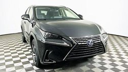 2020 Lexus NX 300h Base