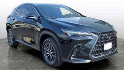 2025 Lexus NX 350 Base