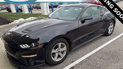 2023 Ford Mustang EcoBoost