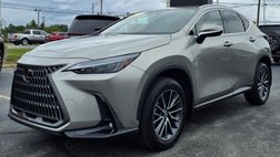 2023 Lexus NX 350 Premium