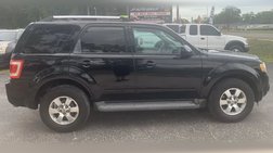 2010 Ford Escape Limited
