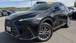 2024 Lexus NX 350 Luxury