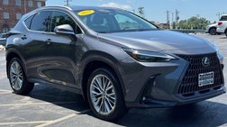 2023 Lexus NX 350 Luxury