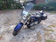 2009 Other Makes 