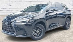 2025 Lexus NX 250 Premium