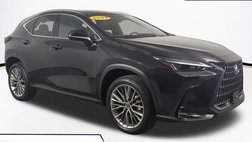 2022 Lexus NX 350h Luxury