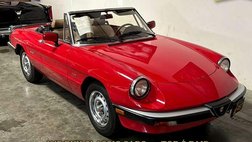 1987 Alfa Romeo Spider Graduate