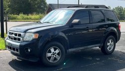2010 Ford Escape XLT