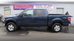 2013 Ford F-150 Platinum