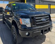 2010 Ford F-150 FX4