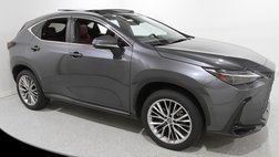 2024 Lexus NX 350h Luxury