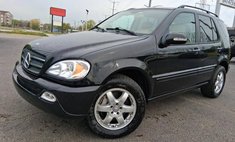 2003 Mercedes-Benz M-Class ML 500