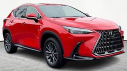 2024 Lexus NX 250 Premium