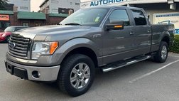 2010 Ford F-150 XLT