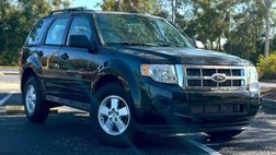 2011 Ford Escape XLS