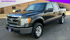 2013 Ford F-150 XL