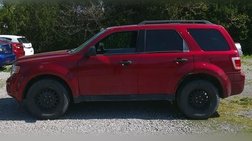 2009 Ford Escape XLT
