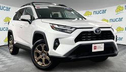 2023 Toyota RAV4 Hybrid Woodland Edition