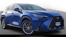 2022 Lexus NX 350 Luxury